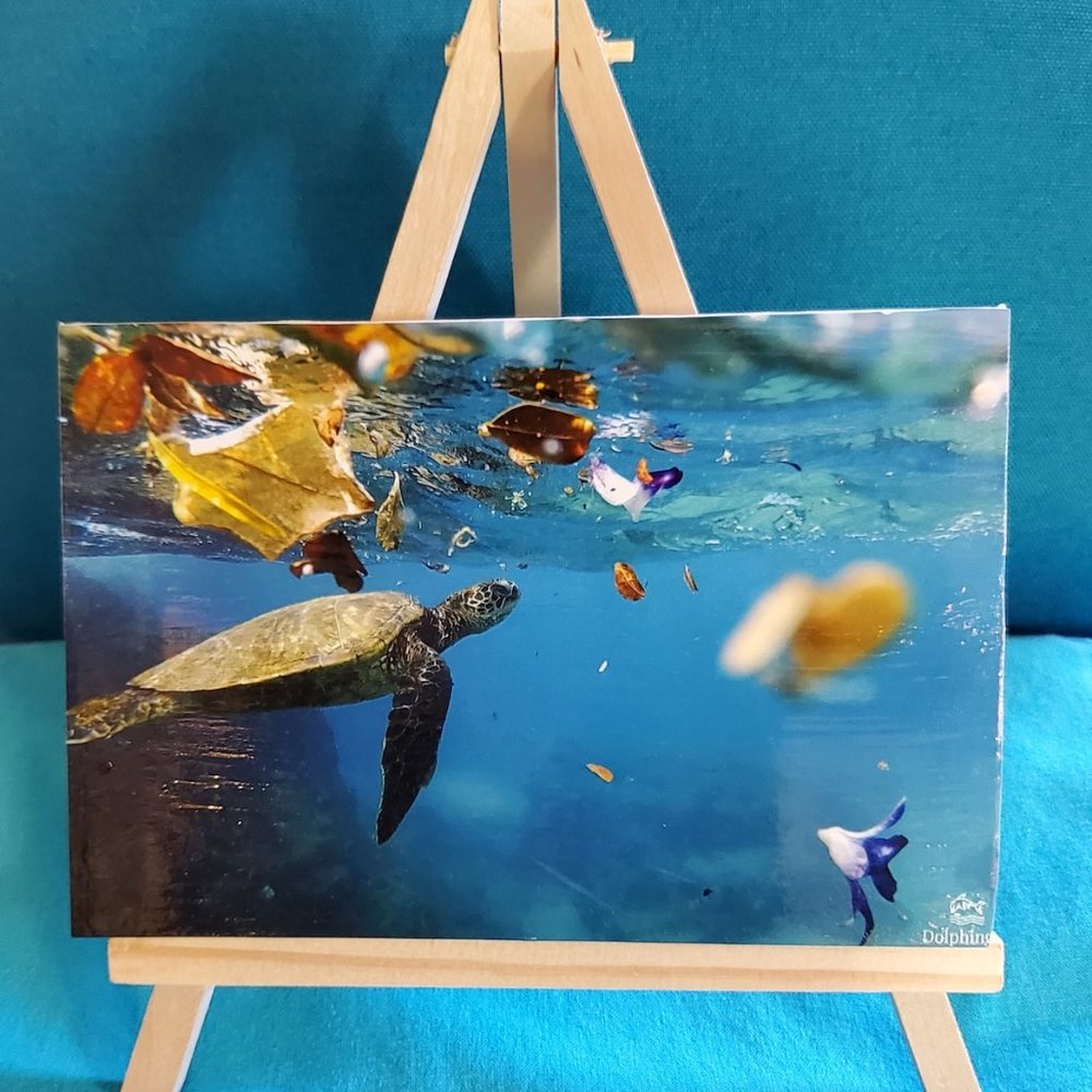 NEW Designer “Honu Leaves” Wild Sea Turtle Photo!